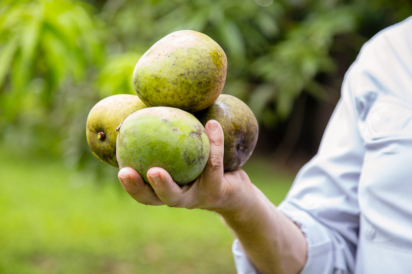What’s the mango’s origin story? The Packer